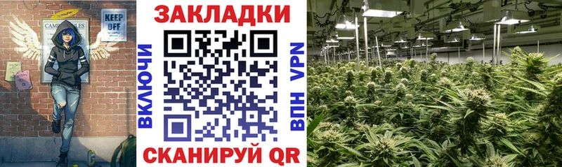 Хочу наркоту Чита Амфетамин  Бошки Шишки  Меф мяу мяу  Гашиш 