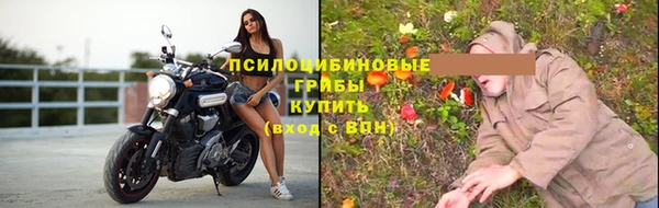 дживик Бугульма