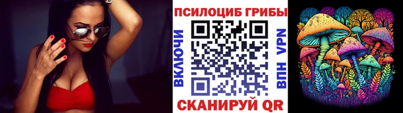 Псилоцибиновые грибы Cubensis  где найти наркотики  OMG маркетплейс  Чита 